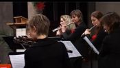 Concert Traverselair à Rhinau