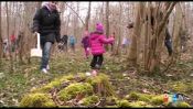 Chasse aux oeufs à Gerstheim
