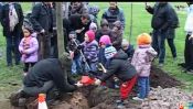 Un arbre pour les enfants