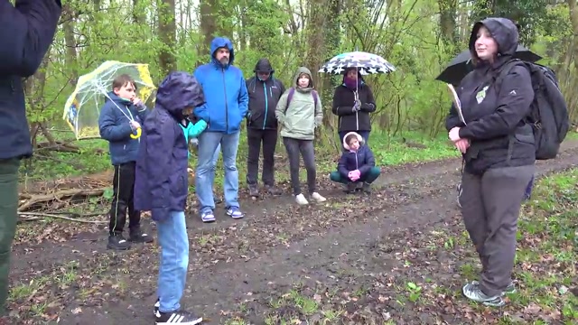 2026 Herbsheim Qui a fait disparaitre le courlis