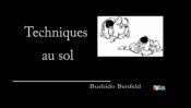 Prises de judo pour l'obtention de la ceinture bleue