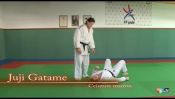 Prises de judo pour l'obtention de la ceinture marron
