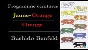 judo programme pour la ceinture orange