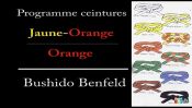 judo programme pour la ceinture orange