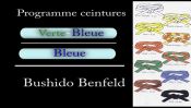 judo programme pour la ceinture bleue