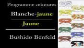 Prises de judo pour l'obtention de la ceinture jaune