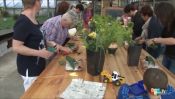 Atelier floral à Sand