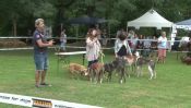 La 3ème journée du chien à Rossfeld.