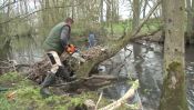 Nettoyage des berges de la Lutter par ECO'ILL