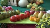 Matzenheim - Expositions fruits et légumes.